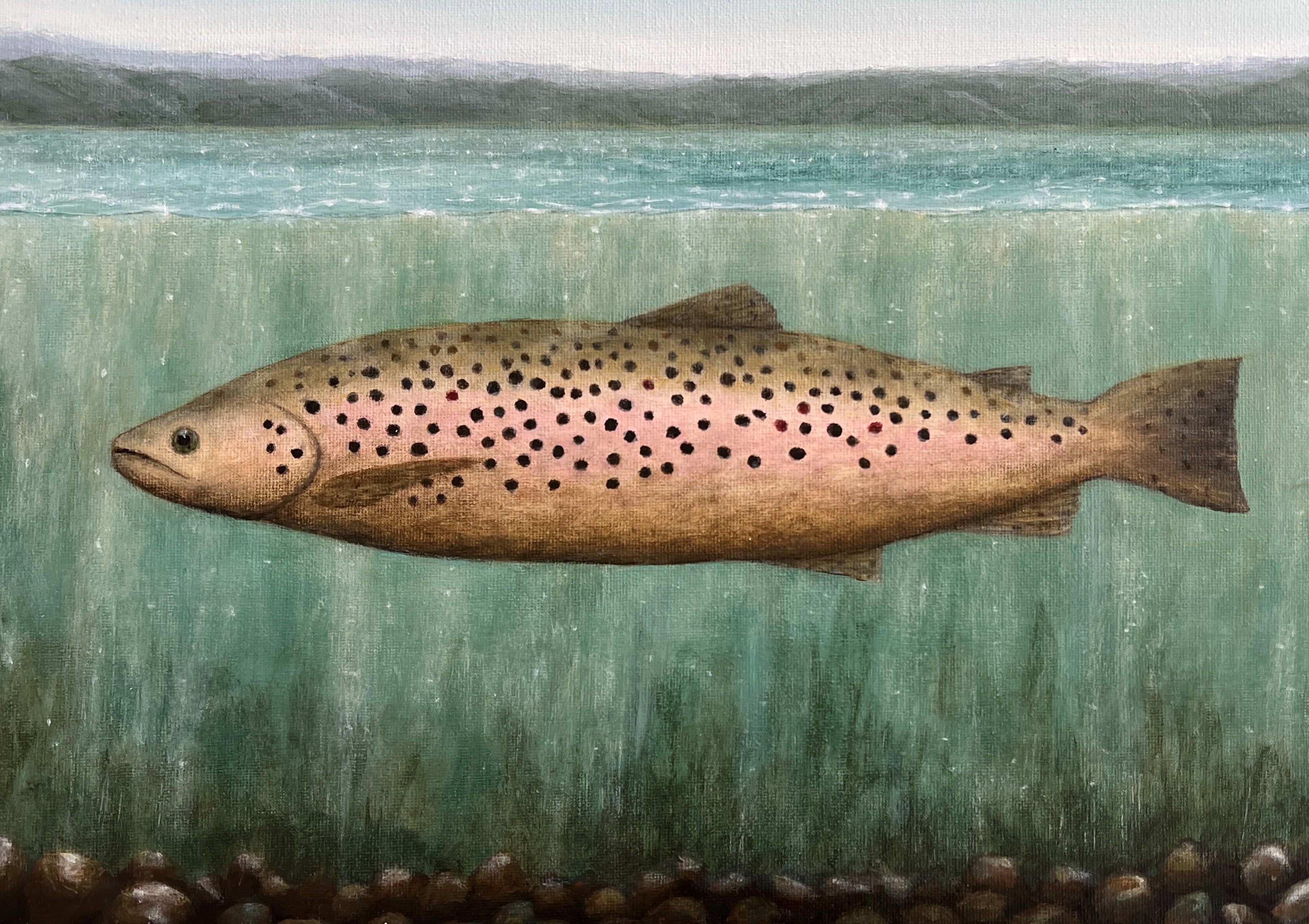 Schubert's Trout by Alison Curtis-Godillon - 4 cards at $3.85