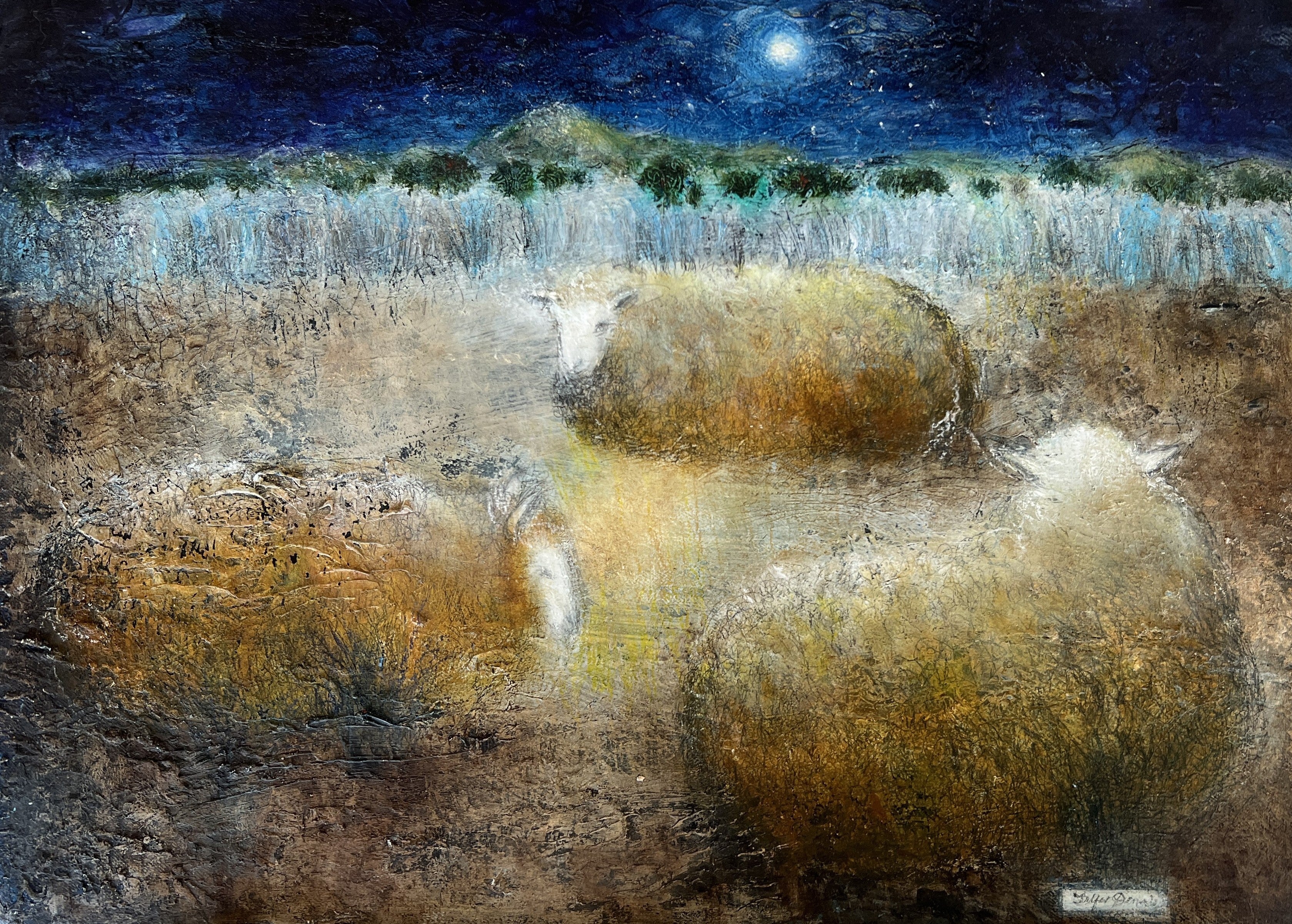 Sheep at Night by Telfer Dennis - 4 Cards at $3.85 per Card