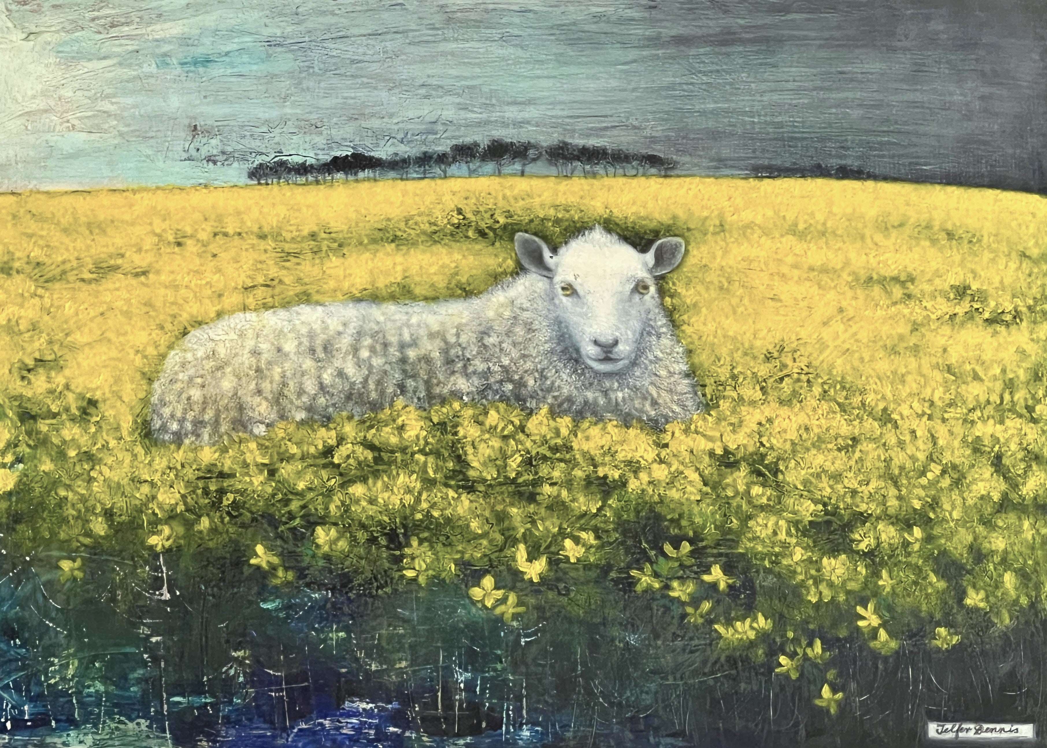 Sheep in Canola by Telfer Dennis - 4 cards at $3.85 per Card